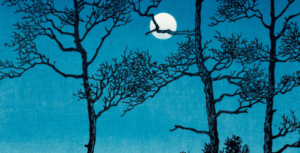 Cover of Spark Young Writers Magazine issue 31